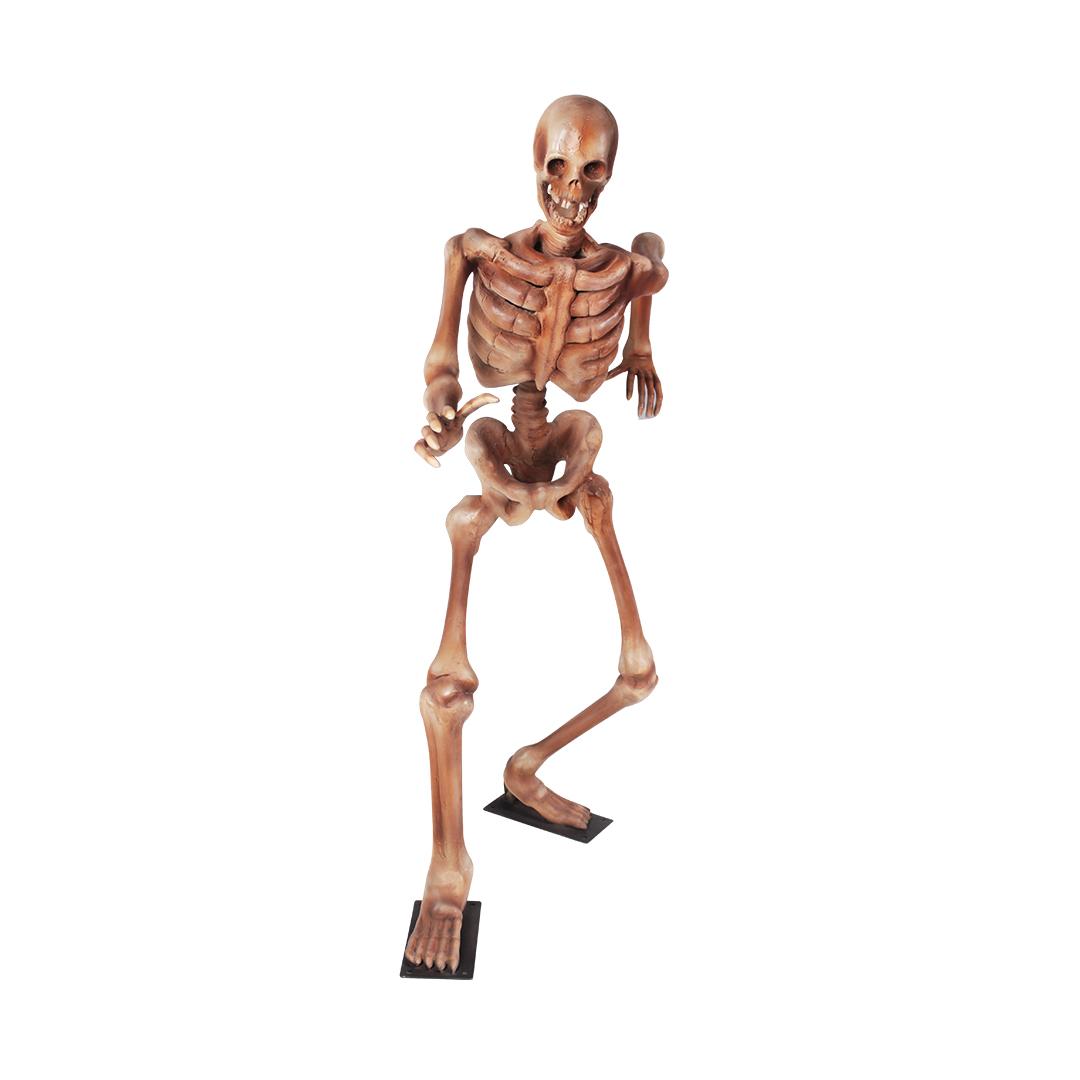 Skeleton Standing Styles Life Size Statue