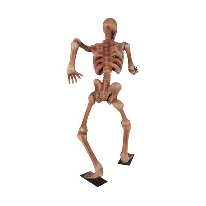 Skeleton Standing Styles Life Size Statue