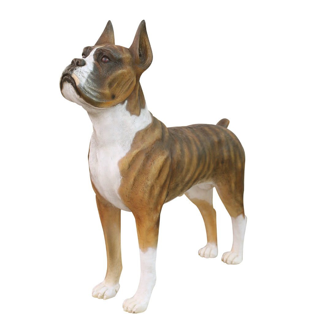 Dog Boxer Life Size Statue
