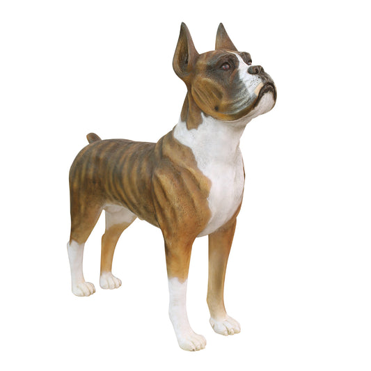 Dog Boxer Life Size Statue