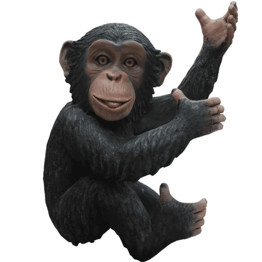 Hanging Monkey Chimpanzee Congo Life Size Statue
