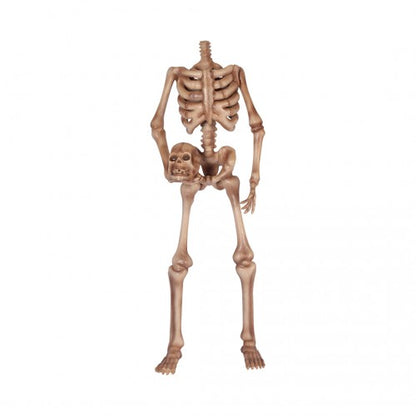 Skeleton Headless Life Size Statue