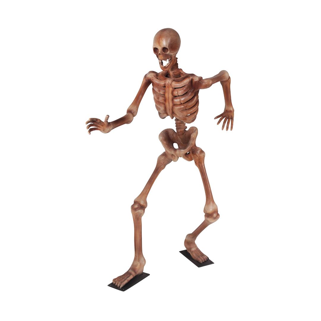 Skeleton Standing Styles Life Size Statue