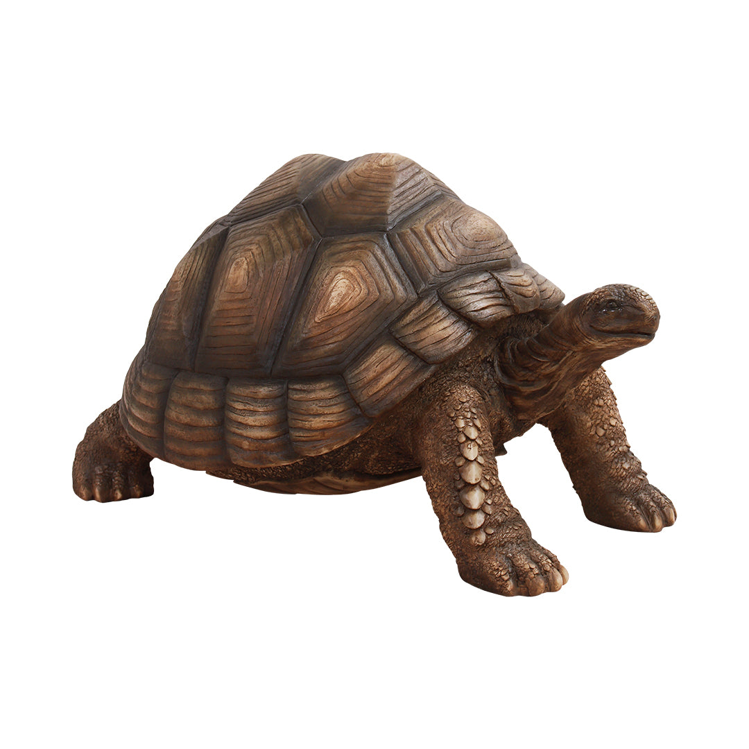 Turtle Life Size Statue